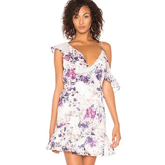 Yumi Kim Dresses & Skirts - Yumi Kim NWT Romantic Napa Valley Sheer Bliss Sleeveless Dress **Size M** 🌸🌸